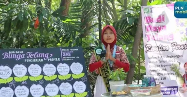 Gadis Cilik Asal Surabaya ini Kreasikan Bunga Telang jadi Nasi dan Tumpeng