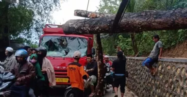 Pohon Tumbang di Pamekasan Ganggu Aliran Listrik dan menimpa Truk