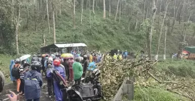 Pohon Tumbang di Jalur Malang-Kediri Timbulkan Korban, Ya Ampun