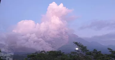 Gunung Semeru Erupsi Hari Ini, Warga Diimbau Waspada