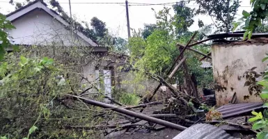 Kondisi Terkini 2 Desa di Bondowoso Setelah Diterjang Puting Beliung, 41 Rumah Rusak