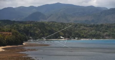 Dugong Seberat 200 Kilogram Terdampar di Pantai Pulau Bawean