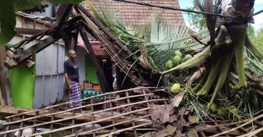 Nelangsa, Rumah Kakek di Banyuwangi Hancur Tertimpa Pohon Kelapa Akibat Cuaca Ekstrem