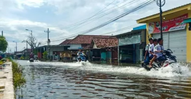 Hujan Deras Menyebabkan 3 Desa di Sidoarjo Banjir, Warga Pasrah