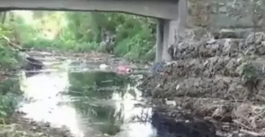 Limbah Industri Ikan di Trenggalek Mencemari Sungai, Buat Warga Mengamuk