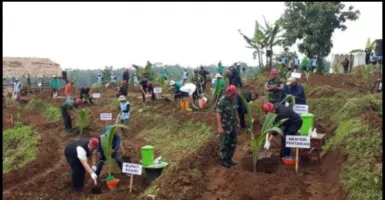 Kementan Gelontor 24.090 Kelapa Genjah di Kediri, Tambah Penghasilan Petani