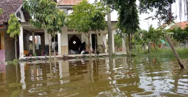 Waspada Banjir di Lamongan Meluas, 20 Desa Sudah Terendam