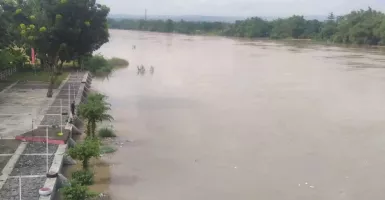 Sungai Bengawan Solo Meluap, Bojonegoro Banjir