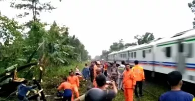 Pohon Tumbang di Madiun Tutup Jalur Kereta Api, Butuh 1 Jam Evakuasi