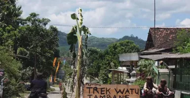 Kesal Laporan Tak Direspons, Warga Sumberagung Tanam Pohon Pisang di Jalan Berlubang