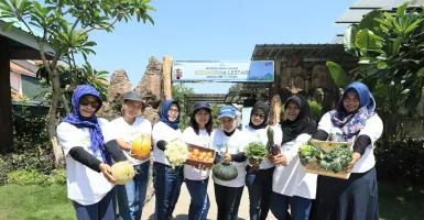 Kembangkan Urban Farming di Lahan Sempit, BRI Peduli Inspirasi Bertani di Kota alias BRInita