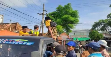 DKPP Pamekasan: 24 Ekor Sapi Mati Akibat Wabah PMK