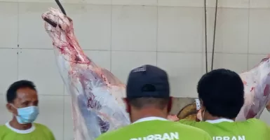 Jelang Ramadan, PD RPH Surabaya Tambah Stok Daging, Dijamin Aman