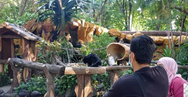 7 Ribu Orang Kunjungi Kebun Binatang Surabaya Selama Libur Nyepi