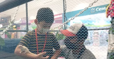 Pet Alley Surabaya Ajak Anak-Anak Berkenalan dengan Sugar Glider