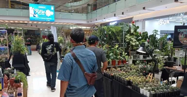 Meriahnya Exotic Plants Surabaya, Grand City Mall Mendadak Hijau