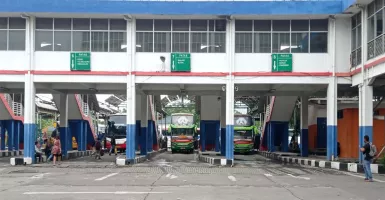 12 PO Bus di Probolinggo Sudah Tiarap, Dampak Solar Dibatasi
