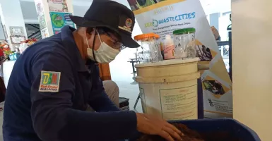 Kisah Sukses Pengusaha Maggot asal Malang, dapat Cuan dari Sampah