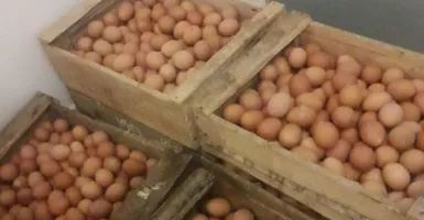 Harga Telur Ayam di Kota Malang Kembali Naik