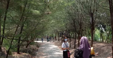 Hutan Mangrove Wonorejo Surabaya, Cocok untuk Lepas Penat