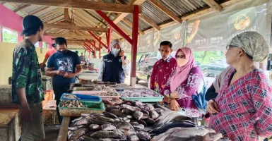 Harga Lobster di Malang Terjun Bebas, Nelayan Rugi Ratusan Juta