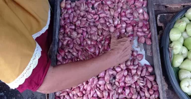 Harga Bahan Dapur Terbaru di Pasar Wonokromo, Mak-Mak Wajib Tahu