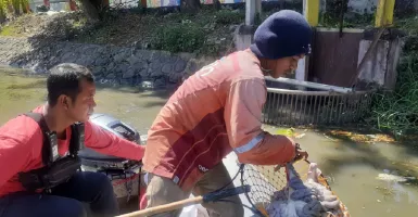 Duh, 4 Karung Jeroan Tepergok Dibuang di Sungai Ngagel Surabaya