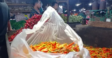 Update Harga Cabai di Surabaya, Kabar Baik untuk Pencinta Pedas