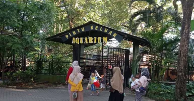 Libur Hari Kemerdekaan, Kebun Binatang Surabaya Ketiban Untung