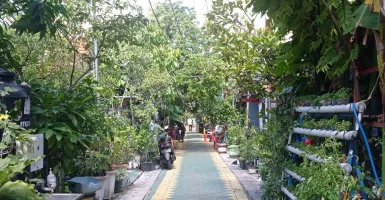 Kampung Oase Ondomohen, Wisata di Surabaya yang Punya Cerita Panjang