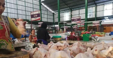 Bu, Harga Daging Ayam di Malang Sudah Turun Loh, jadi Sebegini
