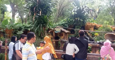 Kebun Binatang Surabaya Hadirkan Program Baru Sambut Nataru