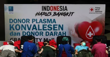 Stok Darah di PMI Yogyakarta Turun 1.000 Kantong Perbulan