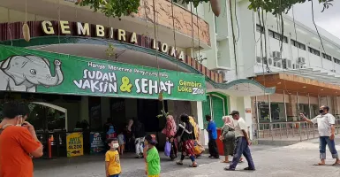 Wow, Gembira Loka Zoo Yogyakarta Hadirkan Beberapa Predator