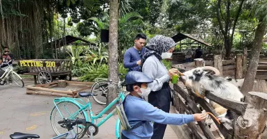 Proteksi Satwa dari PMK, GL Zoo Yogyakarta Batasi Interaksi