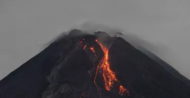 Status Siaga, Merapi Luncurkan Guguran Lava Pijar 1,8 Kilometer