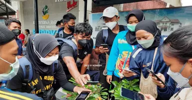 Atlet PON Tiba di Yogyakarta, Langsung Tes PCR dan Malaria