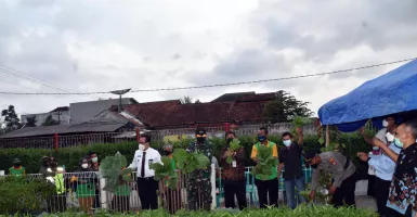 Kembangkan Lahan Kosong, Pemkot Yogyakarta Libatkan Kelompok Tani