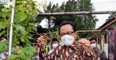 Wawali Yogyakarta Dorong Karang Taruna Kembangkan Lahan Kosong