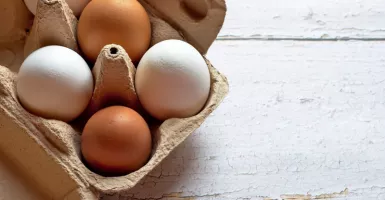 Buat Pecinta Telur, Ini 7 Manfaatnya Bagi Kesehatan Tubuh