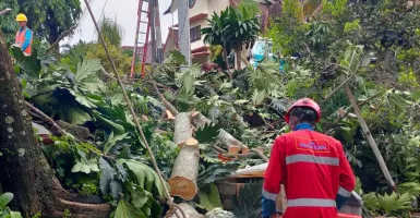 Kemarau Basah, BPBD Bantul Ingatkan Warga Waspada Bencana