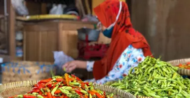 Menjelang Nataru, Harga Cabai Rawit di Yogyakarta Terus Naik