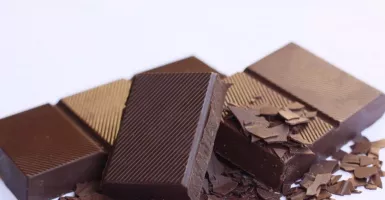 Manjur Turunkan Berat Badan, Ini Cara Benar Konsumsi Cokelat