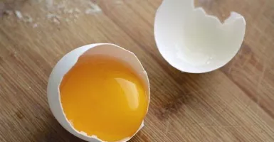 Kaya Gizi! Ini Khasiat Luar Biasa Makan Kuning Telur