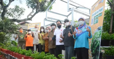 Cukupi Nutrisi, Kampung Sayur Yogyakarta Didorong Berkembang