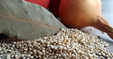 Tidak Hanya untuk Diet, Biji Quinoa juga Punya Banyak Manfaat