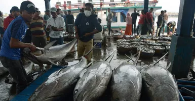 Suka Mengongsumsi Ikan Berminyak? Khasiatnya Wah!