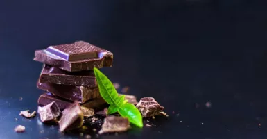 Rutin Makan Cokelat Bisa Bikin Lebih Pintar! Coba Deh