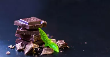 Tokcer! Ini Deretan Khasiat Cokelat untuk Sarapan