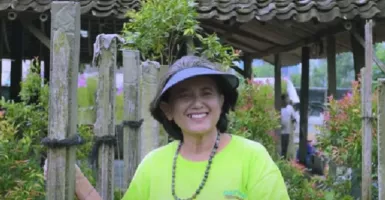 Aplikasikan Ilmu, Seorang Ibu di Sleman Sukses Bertani Anggrek